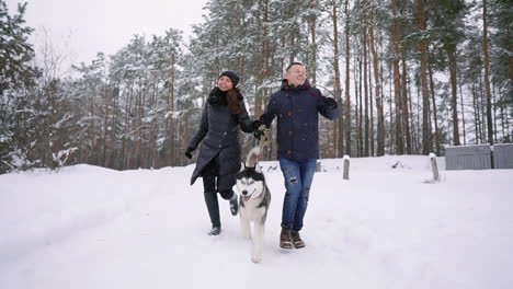 Style-young-couple-having-fun-in-winter-park-near-lake-with-their-friend-husky-dog-on-a-bright-day-hugging-each-other-and-smiling